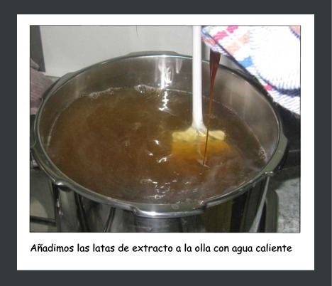 10 elaboracion extractos