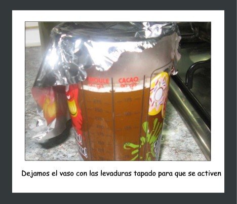 15 elaboracion extractos