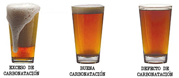 inflación varonil honor Aprendiz de Cervecero: VI. Carbonatación en Botella - El Rincón del  Cervecero